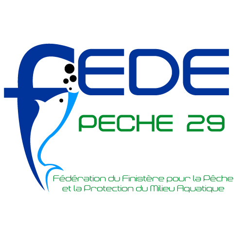FD 29 FD 29
