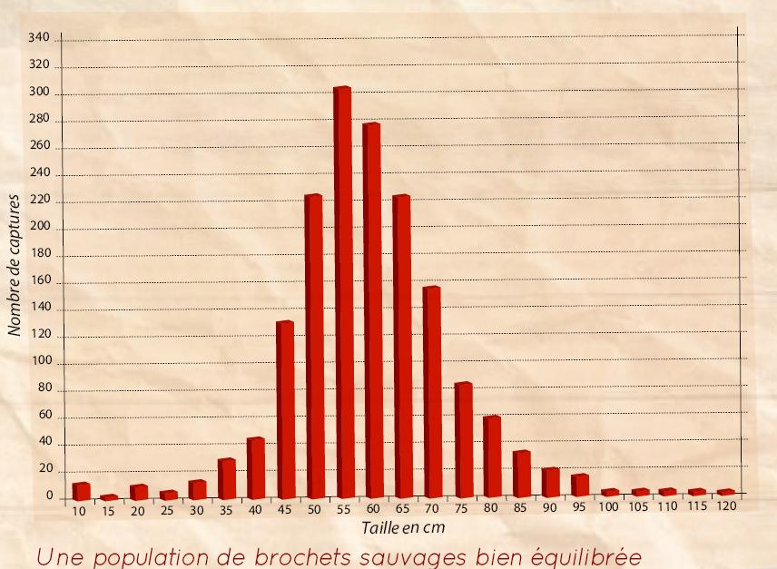 Histogramme des tailles de brochets issues des données de carnets de captures de 2002 à 2007 Histogramme des tailles de brochets issues des données de carnets de captures de 2002 à 2007