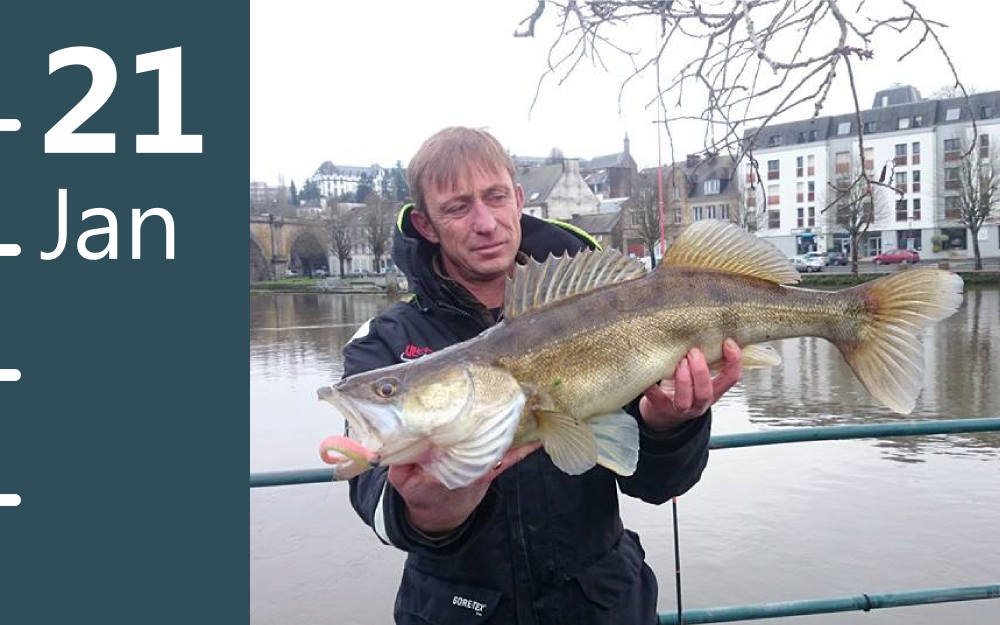 Carnassiers : la fermeture aura lieu dimanche 29 janvier 2023