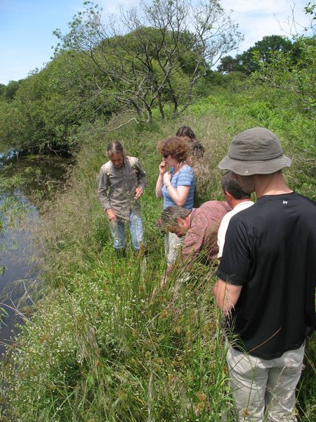 Formation plantes cours d'eau