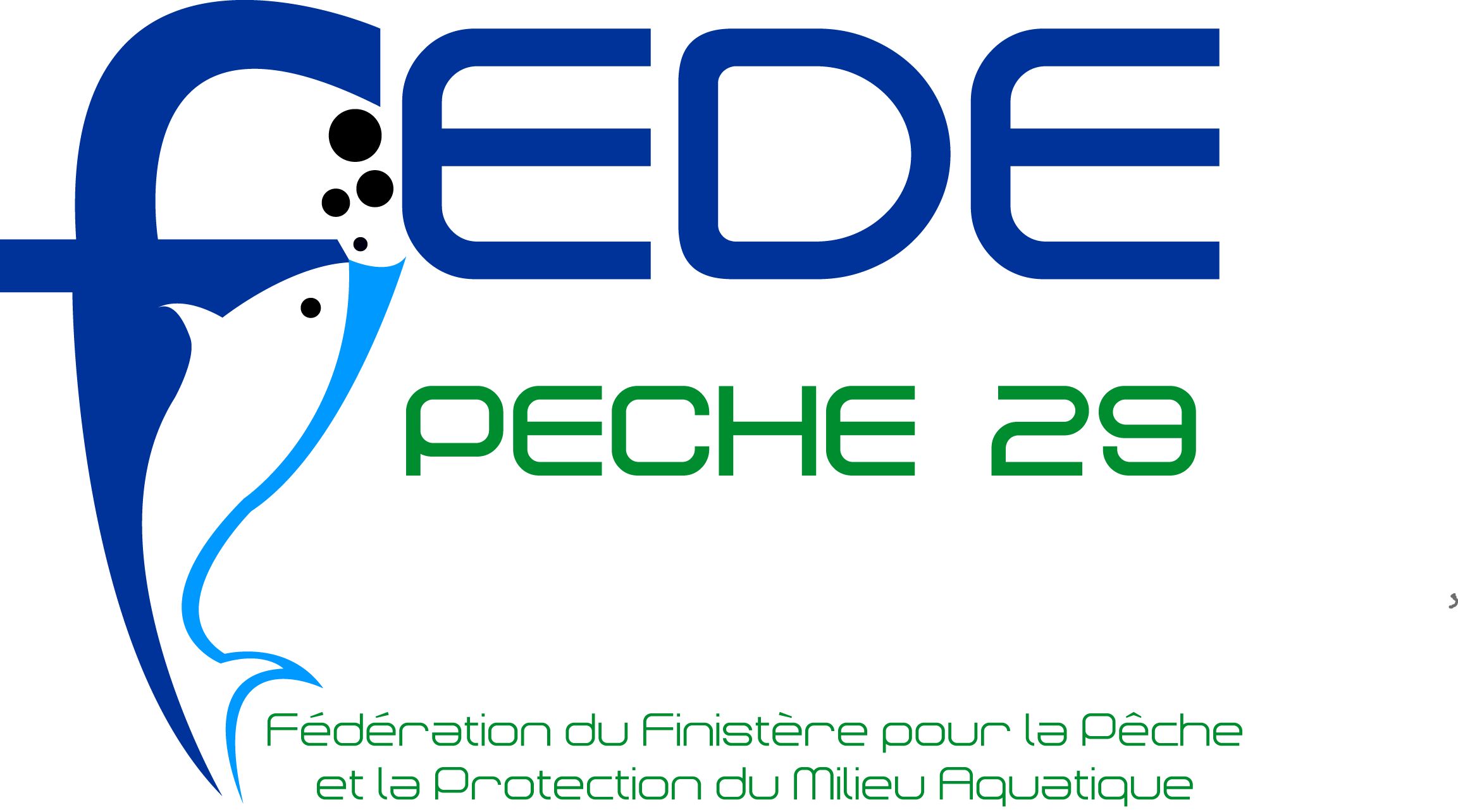 FEDE 29